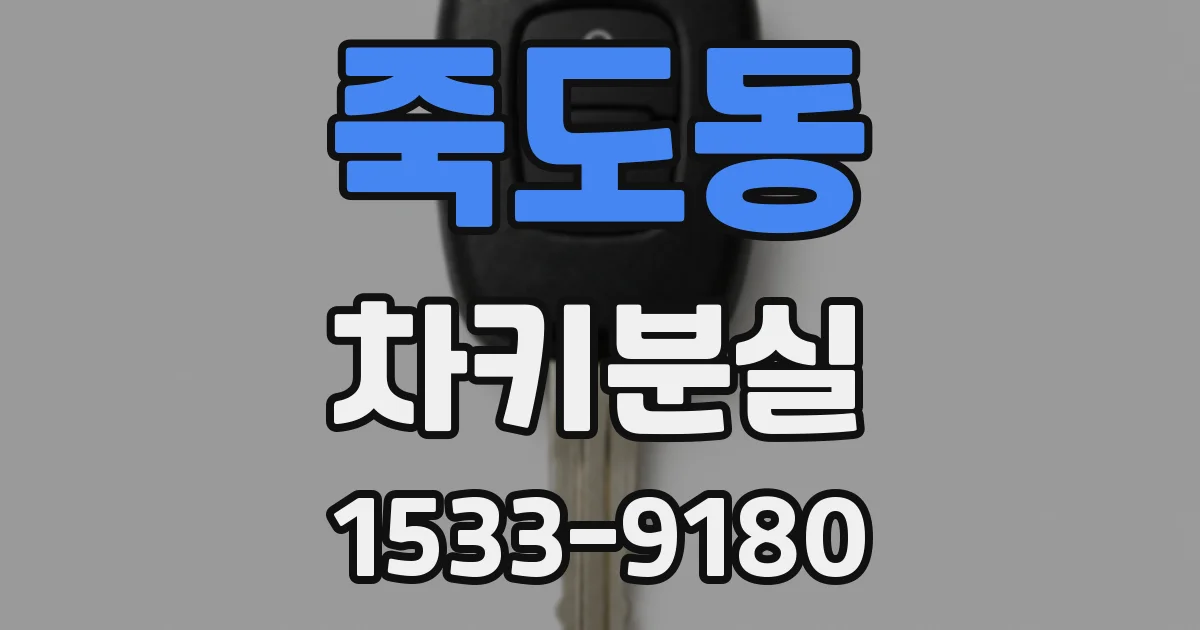 죽도동 차키분실