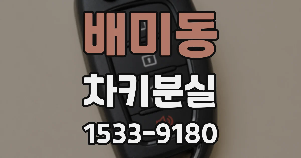 배미동 차키분실