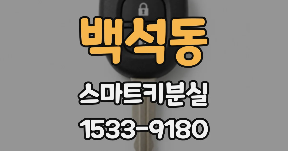 백석동 스마트키분실