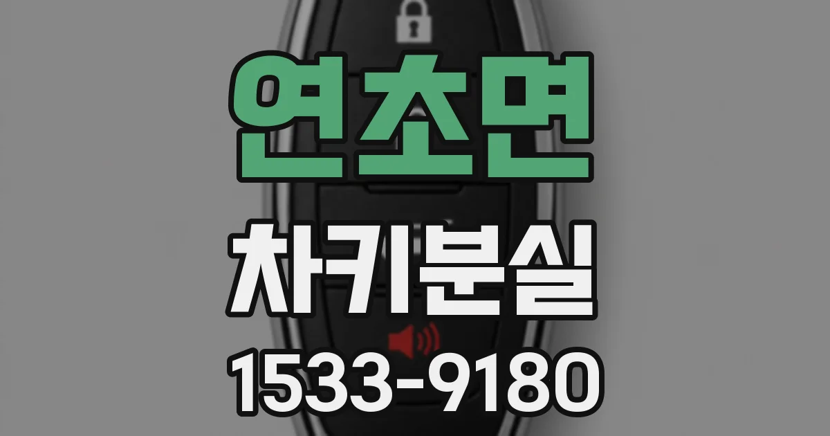 연초면 차키분실