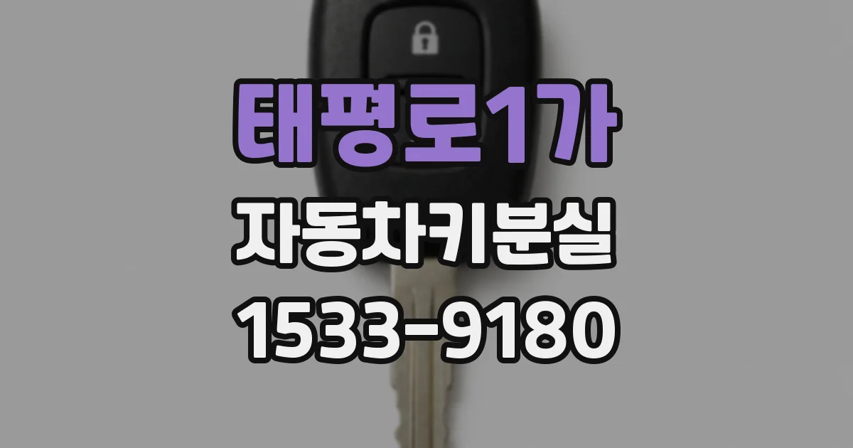 태평로1가 자동차키분실