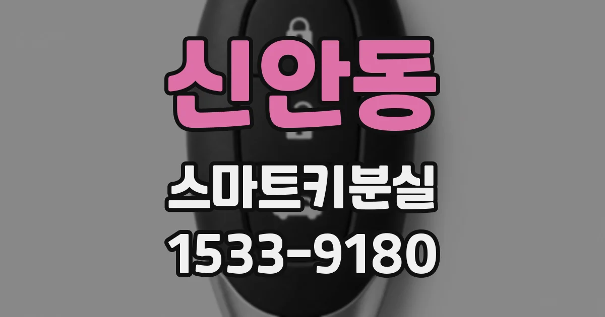 신안동 스마트키분실