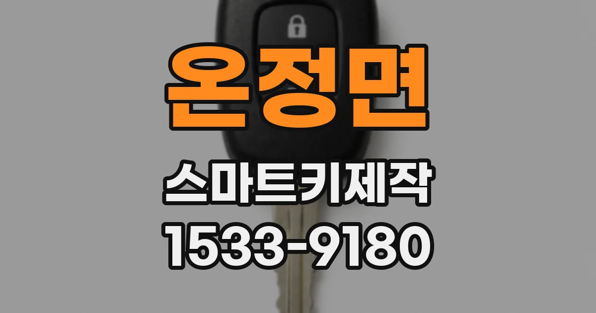 온정면 스마트키제작
