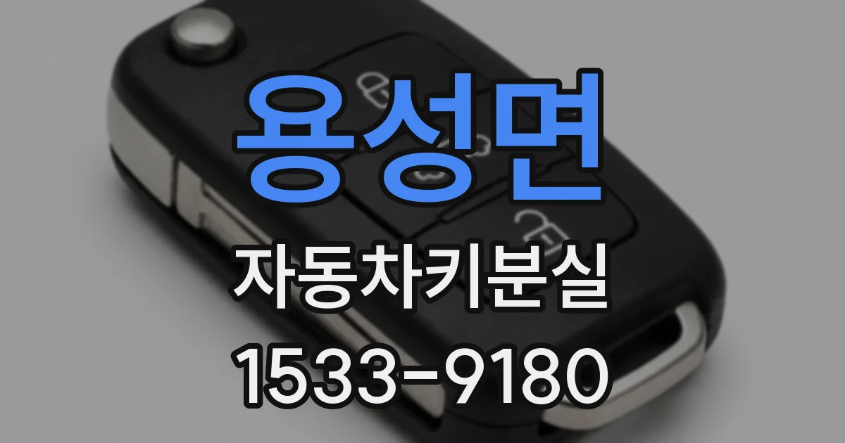용성면 자동차키분실