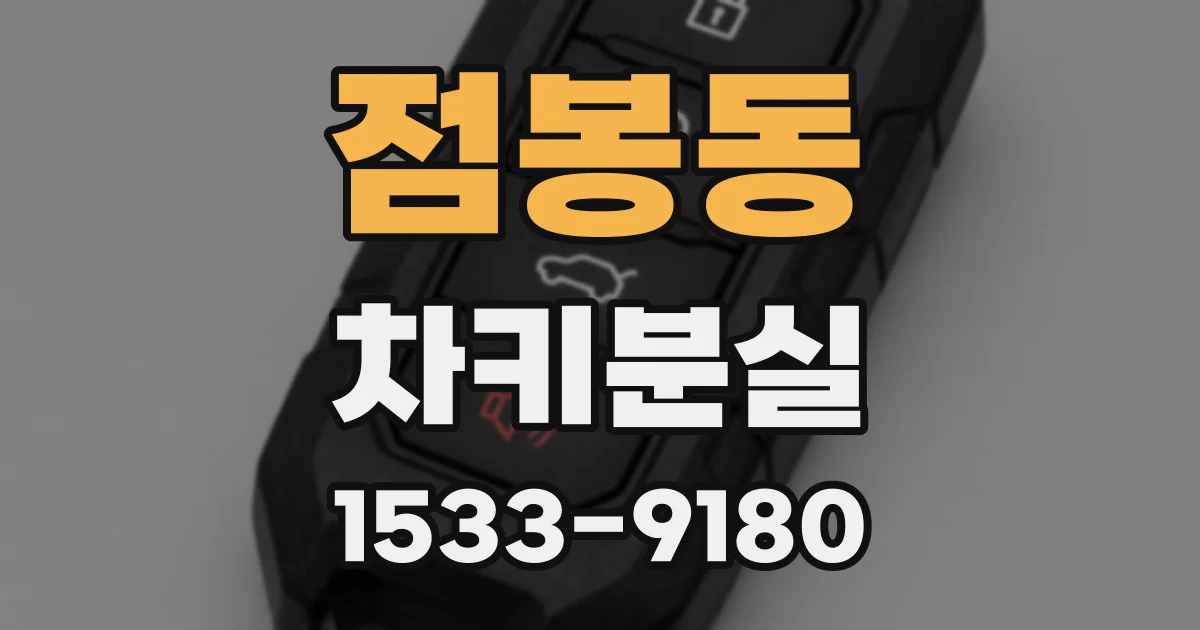 점봉동 차키분실