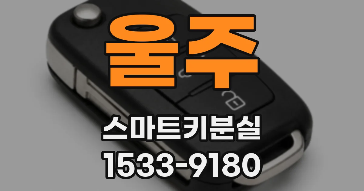 울주 스마트키분실