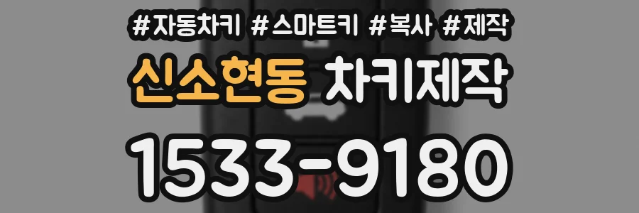 신소현동 차키제작