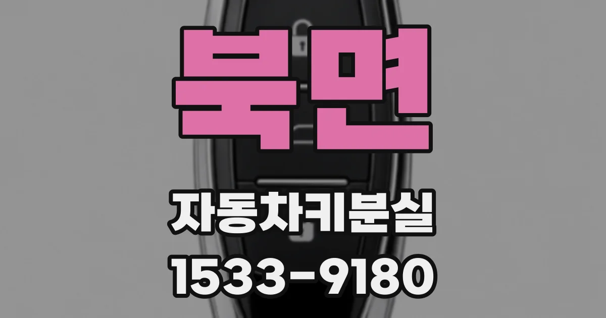 북면 자동차키분실