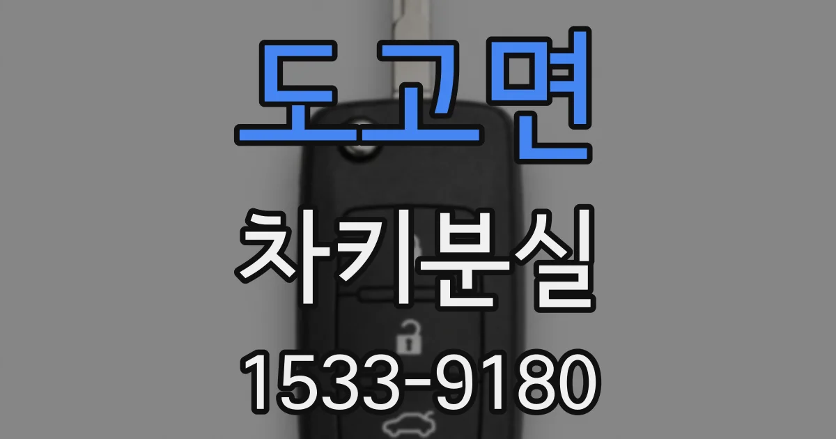 도고면 차키분실