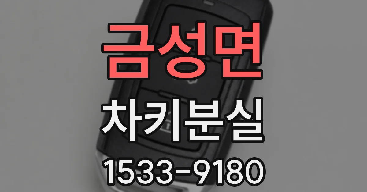 금성면 차키분실
