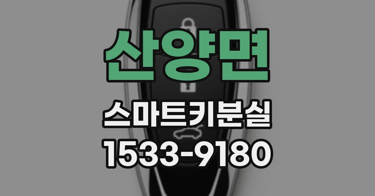 산양면 스마트키분실