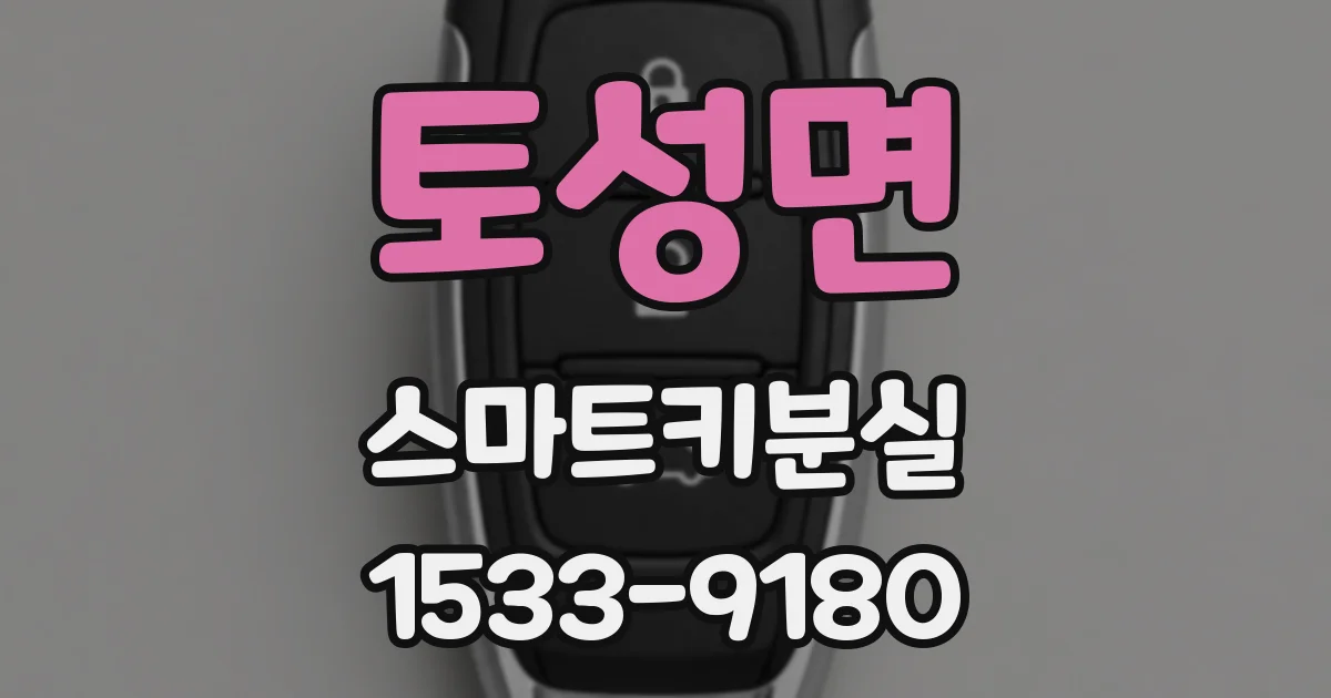 토성면 스마트키분실