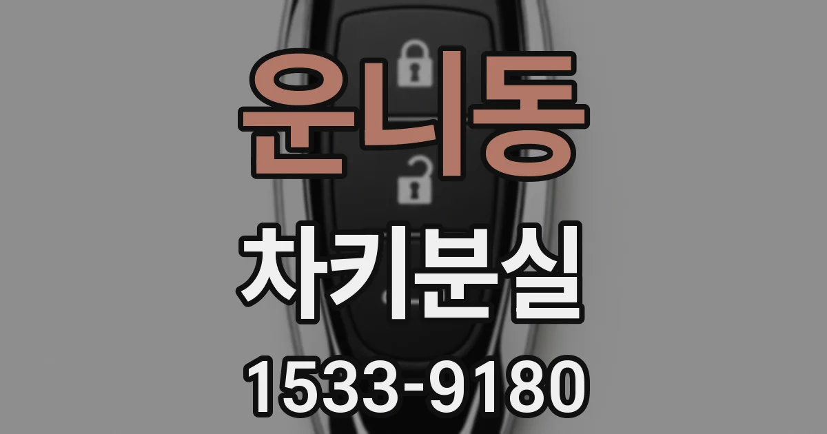운니동 차키분실
