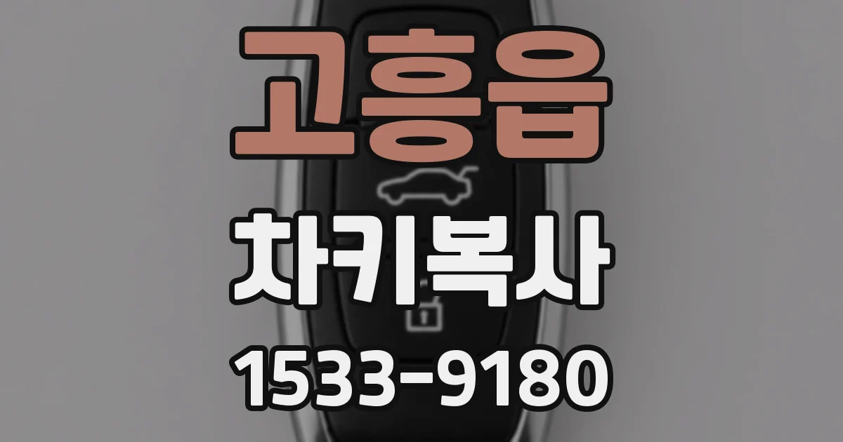 고흥읍 차키복사