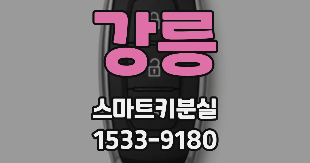 강릉 스마트키분실