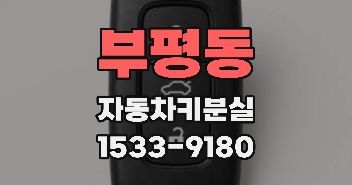 부평동 자동차키분실