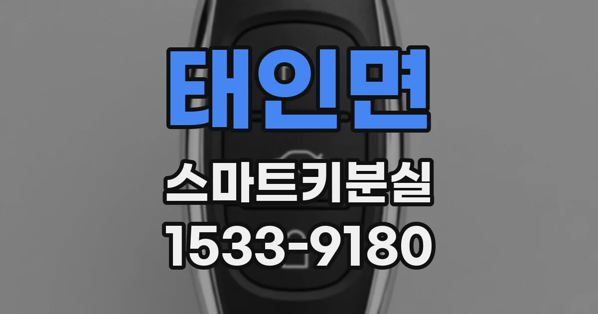 태인면 스마트키분실