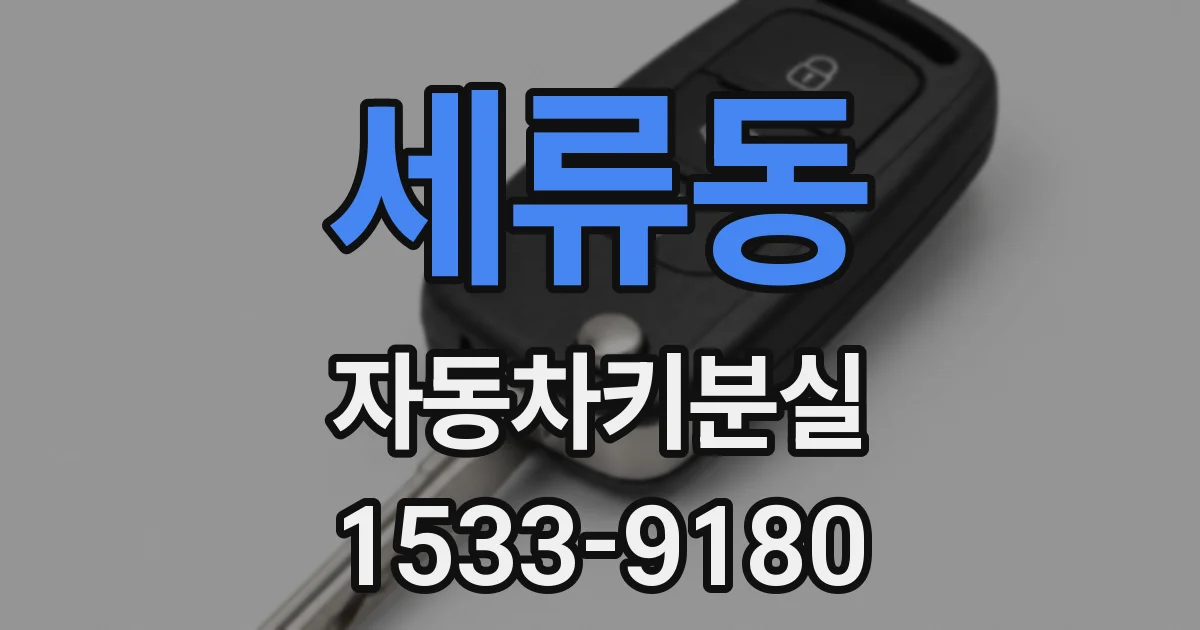 세류동 자동차키분실