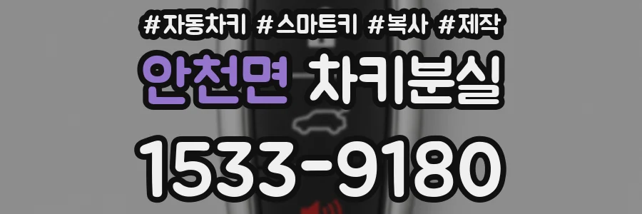 안천면 차키분실
