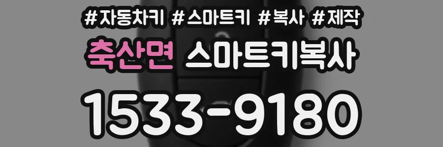 축산면 스마트키복사