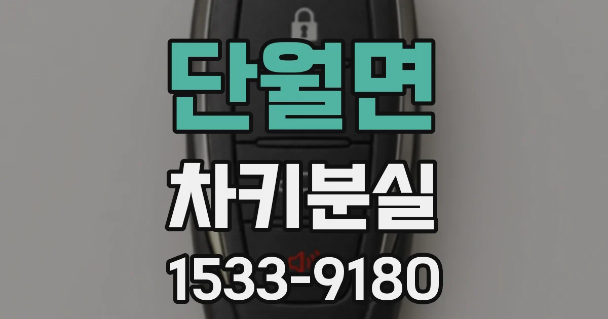 단월면 차키분실