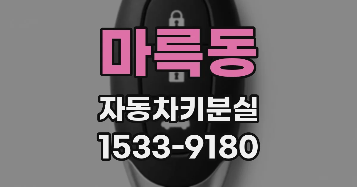 마륵동 자동차키분실