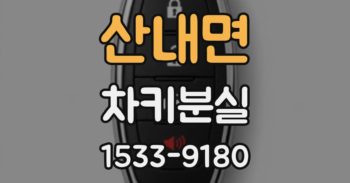 산내면 차키분실