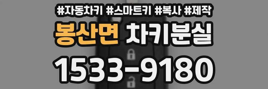 봉산면 차키분실