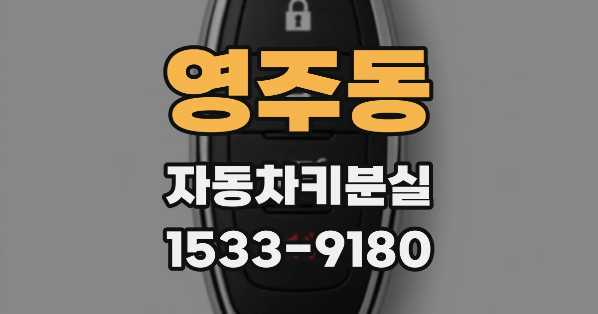 영주동 자동차키분실