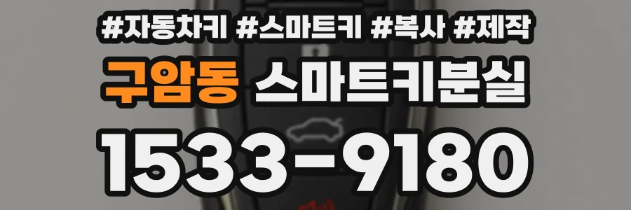 구암동 스마트키분실