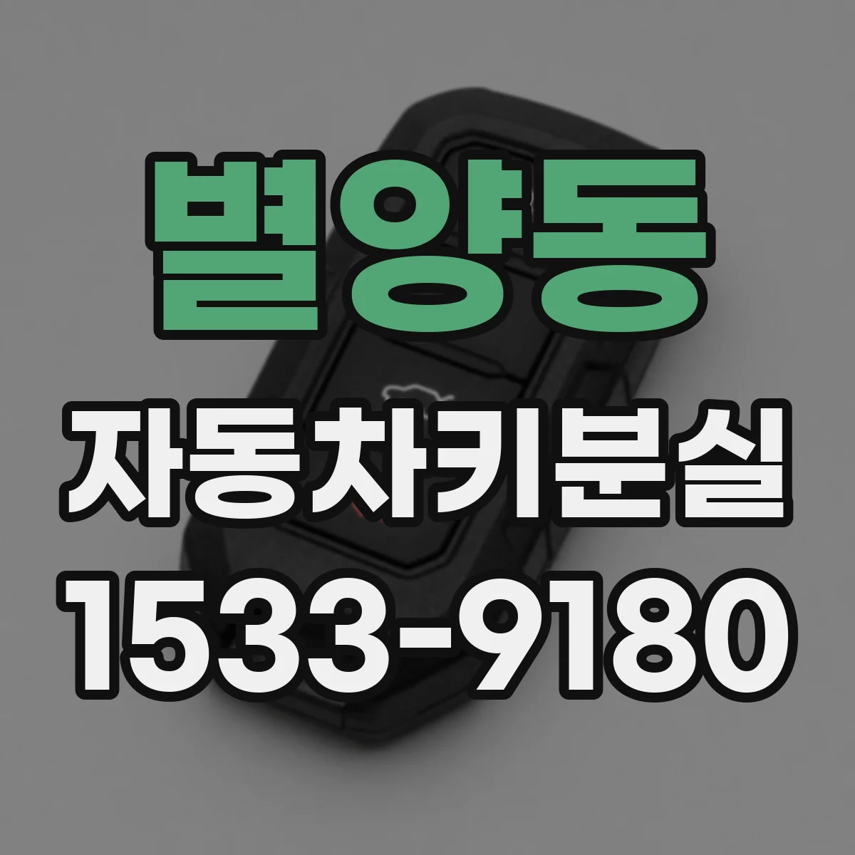 별양동 자동차키분실