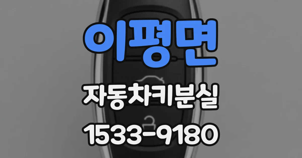 이평면 자동차키분실