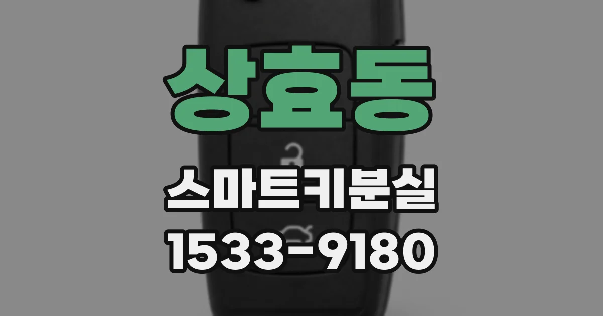 상효동 스마트키분실