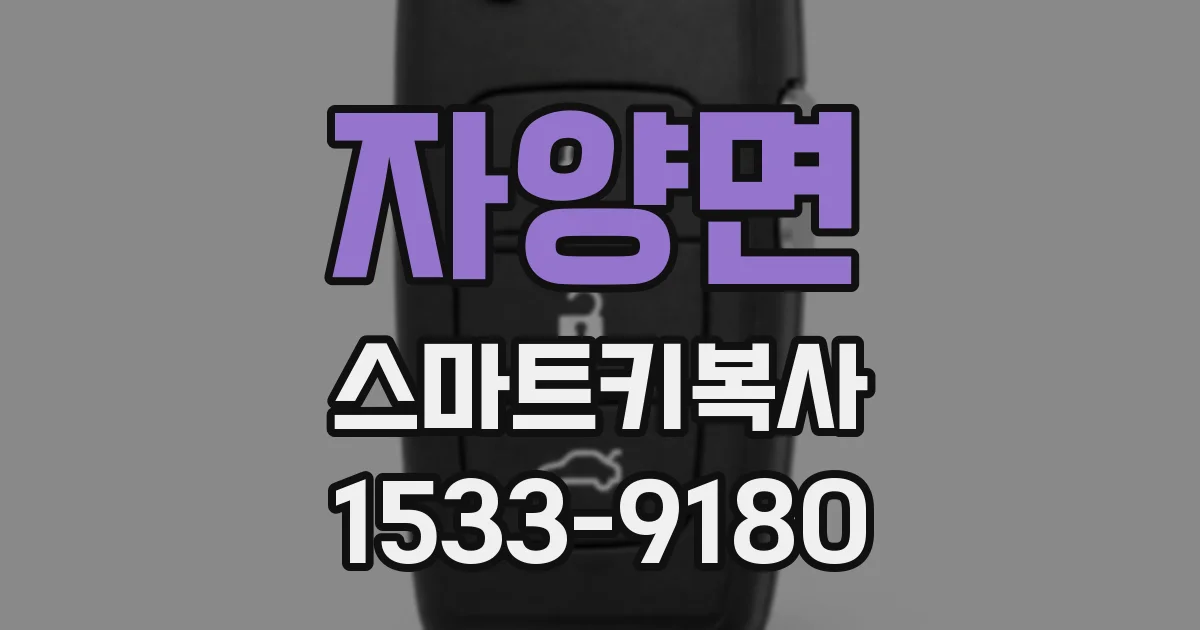 자양면 스마트키복사
