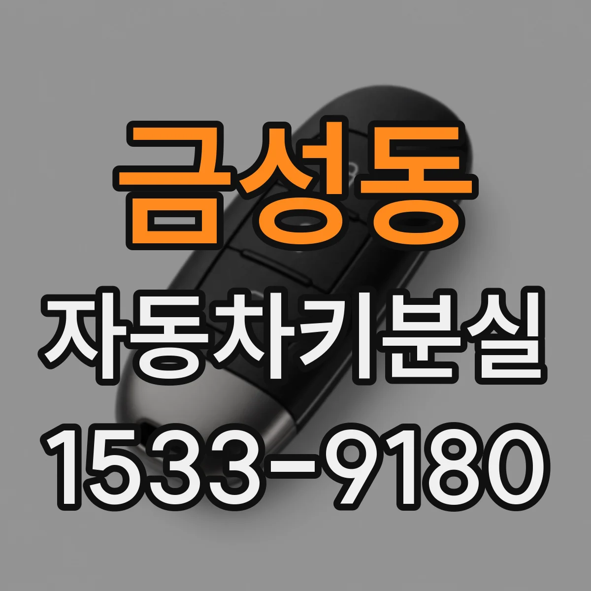 금성동 자동차키분실