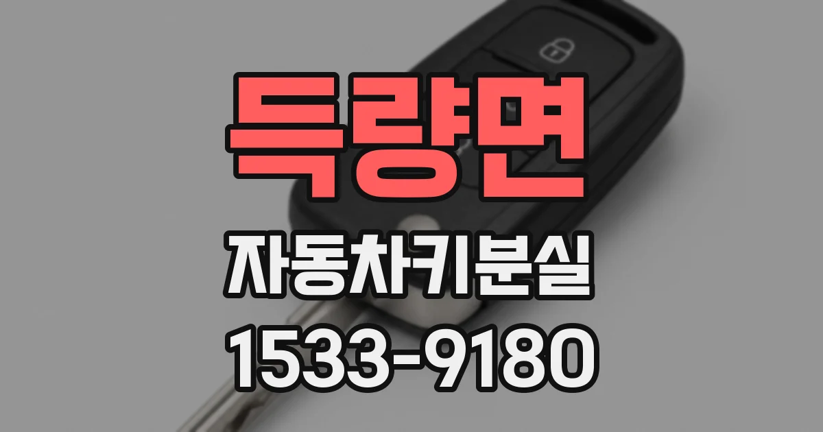 득량면 자동차키분실