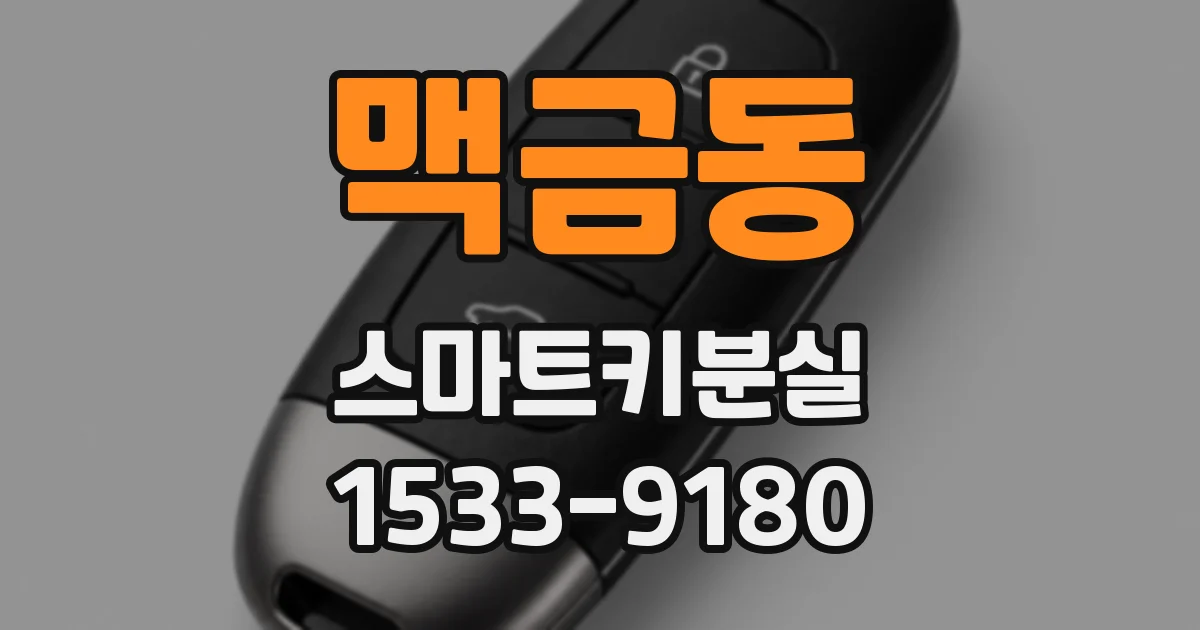 맥금동 스마트키분실