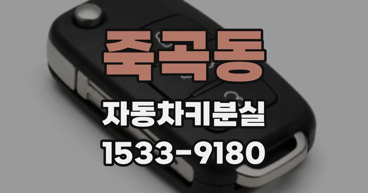 죽곡동 자동차키분실