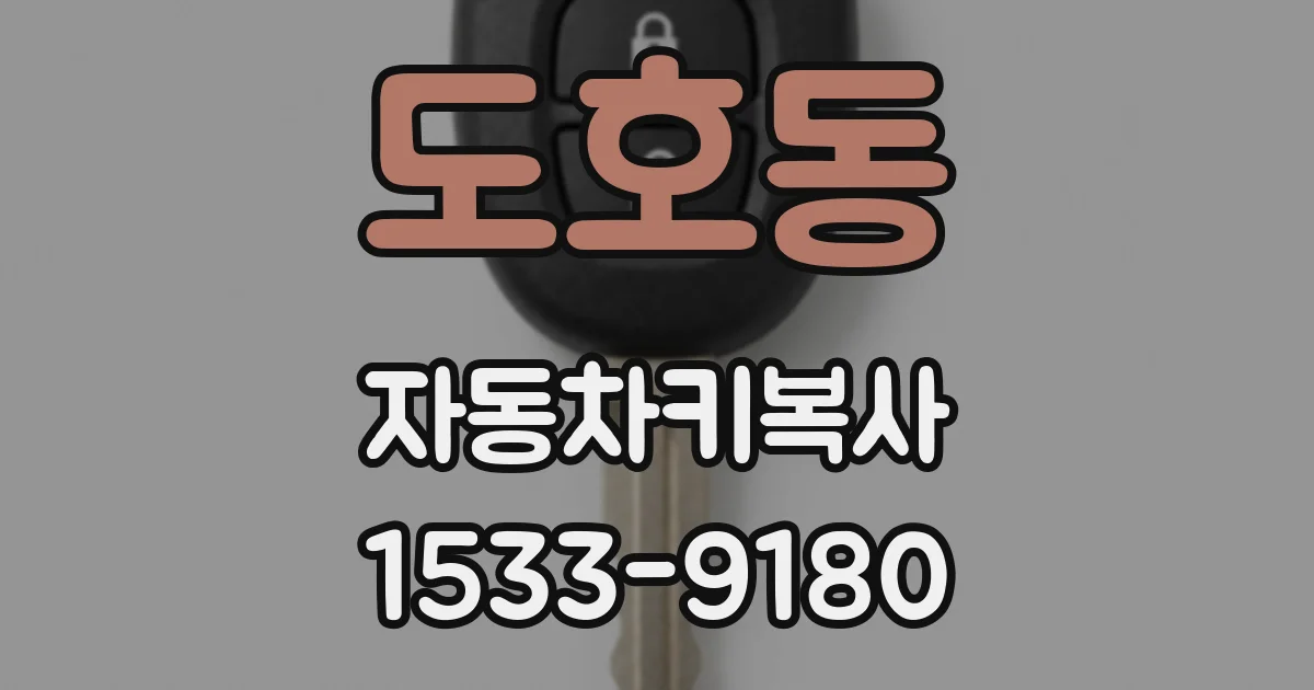 도호동 자동차키복사