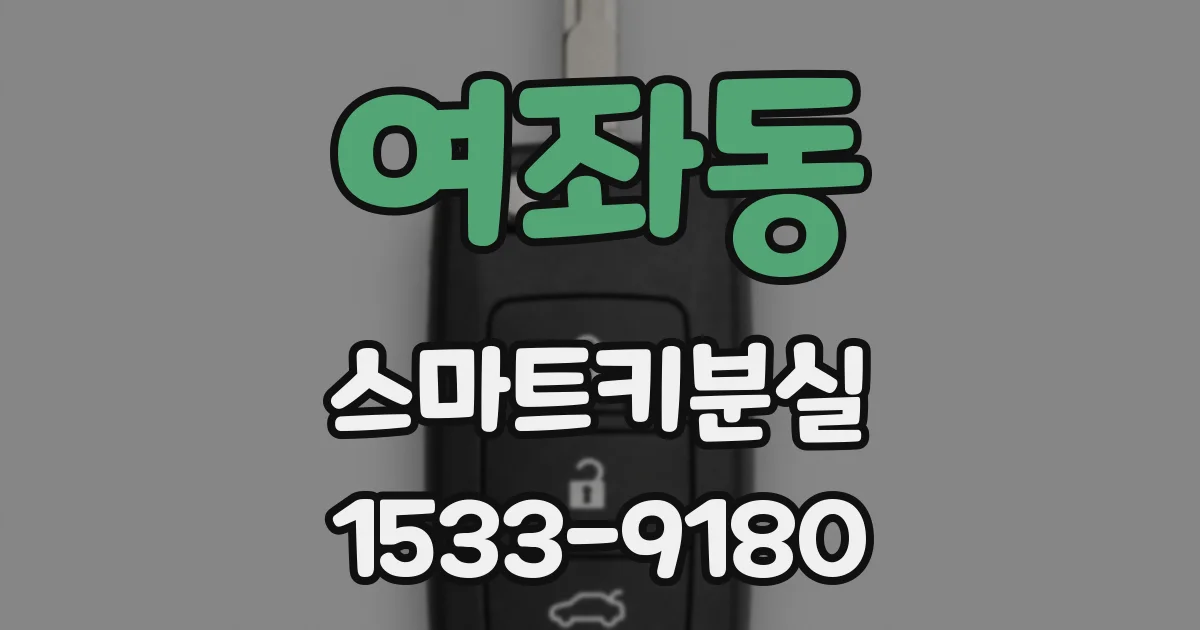 여좌동 스마트키분실
