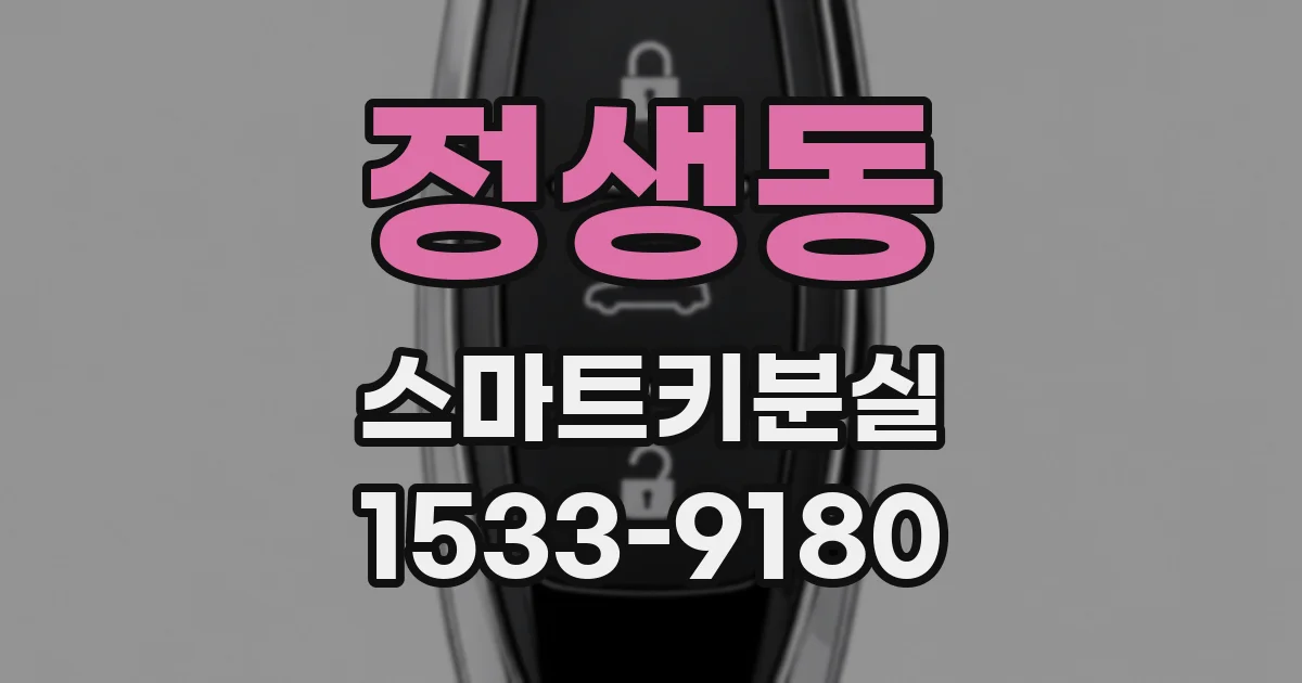 정생동 스마트키분실