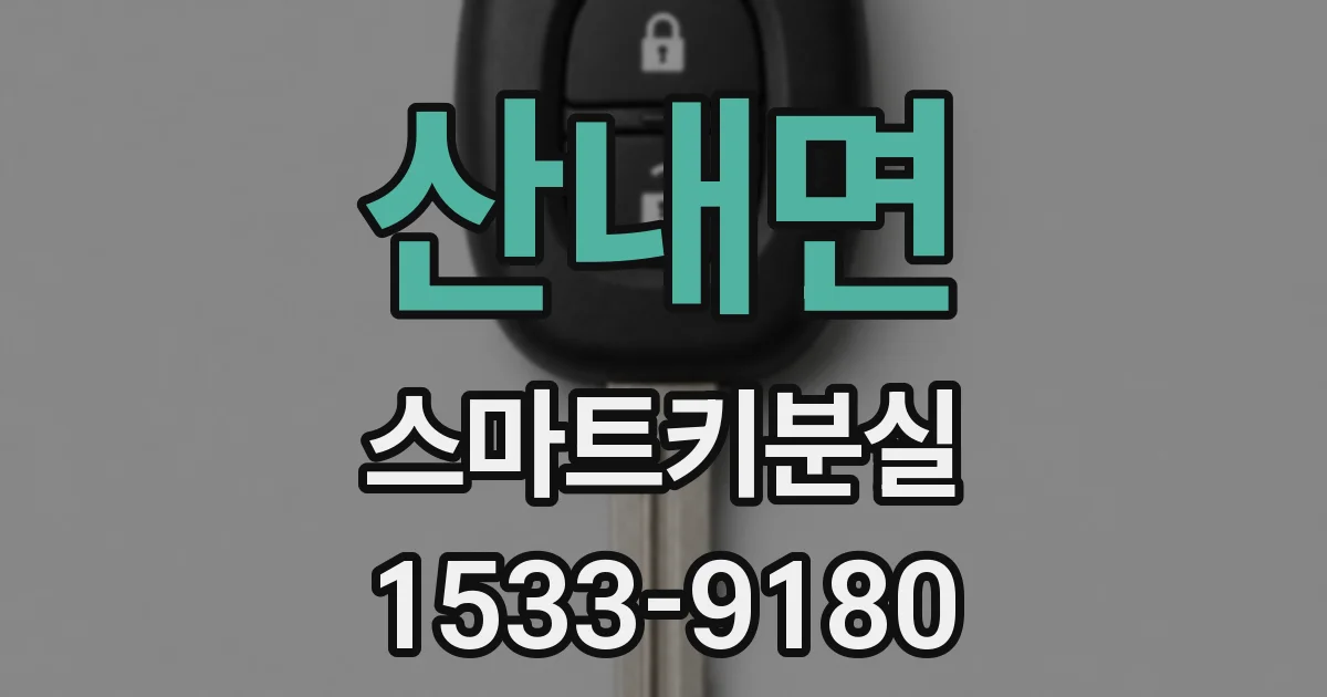 산내면 스마트키분실