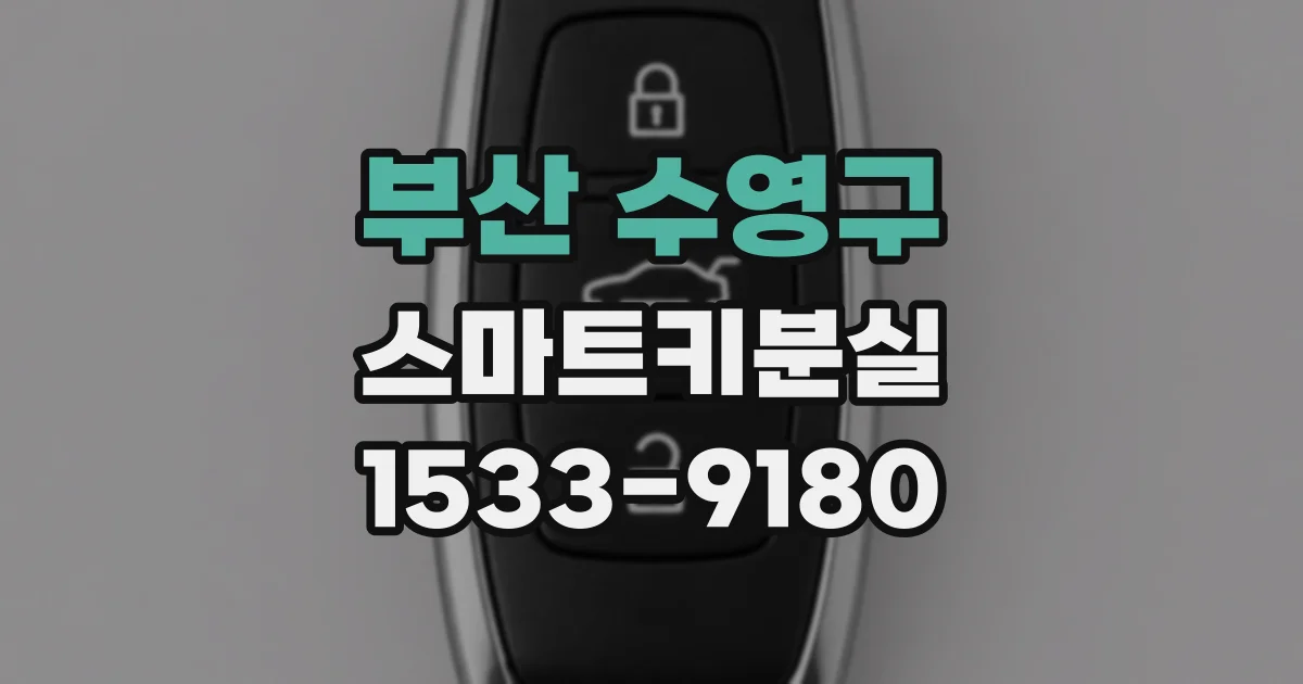 부산 수영구 스마트키분실