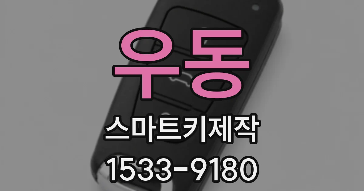 우동 스마트키제작