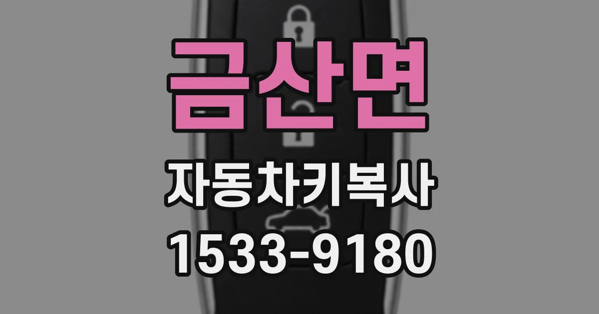 금산면 자동차키복사