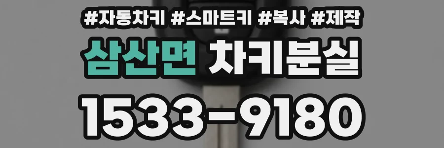 삼산면 차키분실