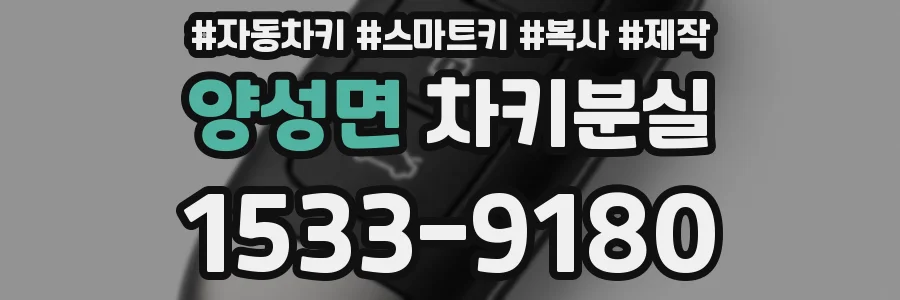 양성면 차키분실