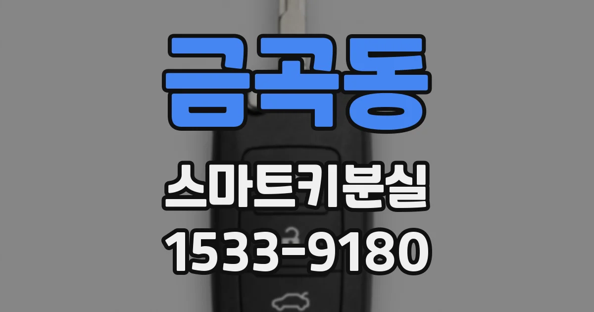 금곡동 스마트키분실