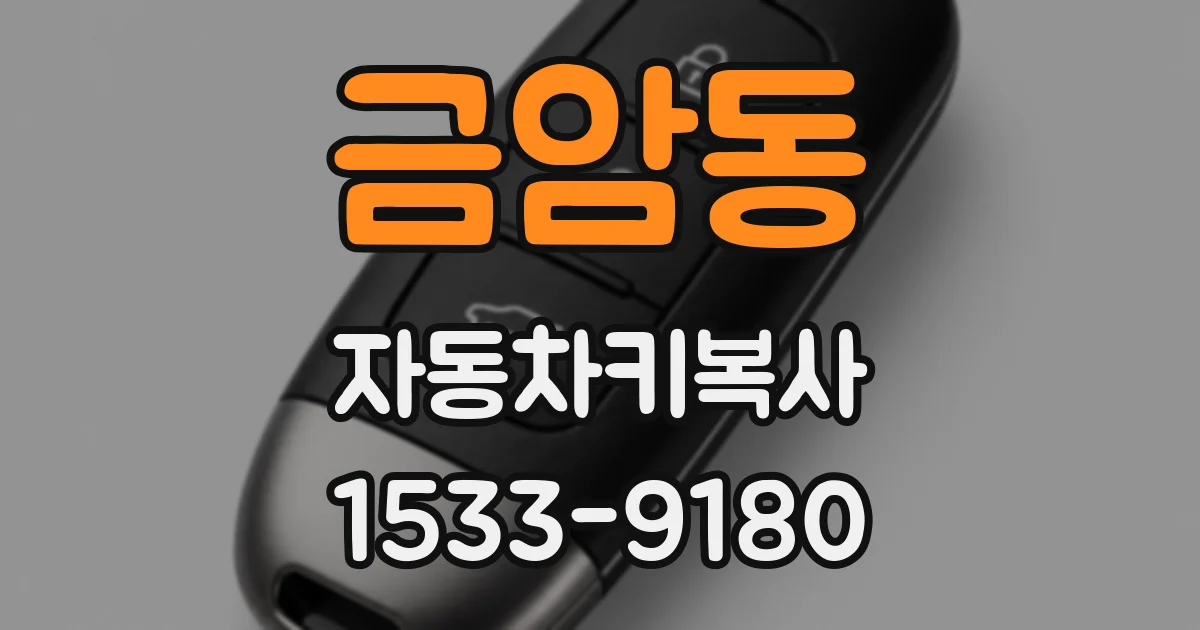 금암동 자동차키복사
