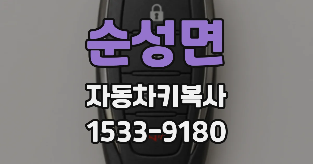 순성면 자동차키복사
